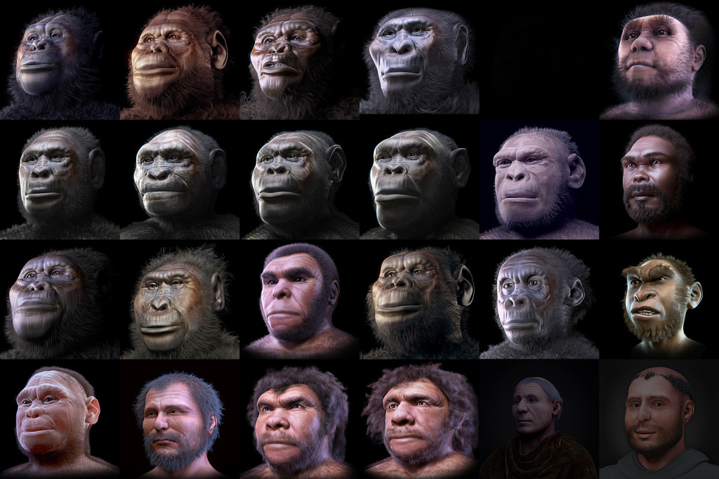 All_reconstructions_del